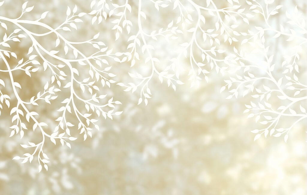 Foglie chiare nella luce — design completo