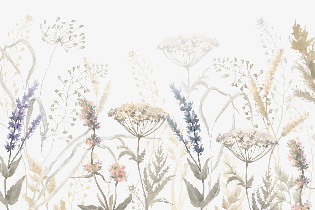Piante di campo sottili — design completo