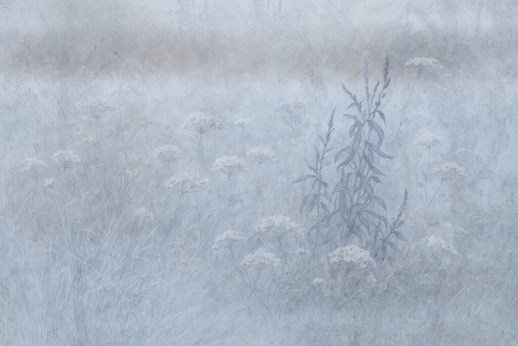 Erba nella nebbia — design completo