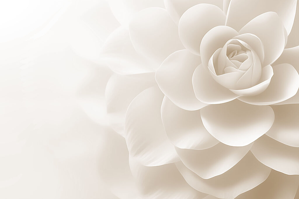 Rosa dai petali larghi — design completo