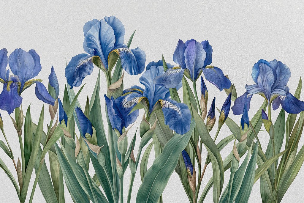 Iris su steli sottili — design completo
