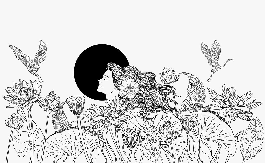 Linee nere e uccelli — design completo