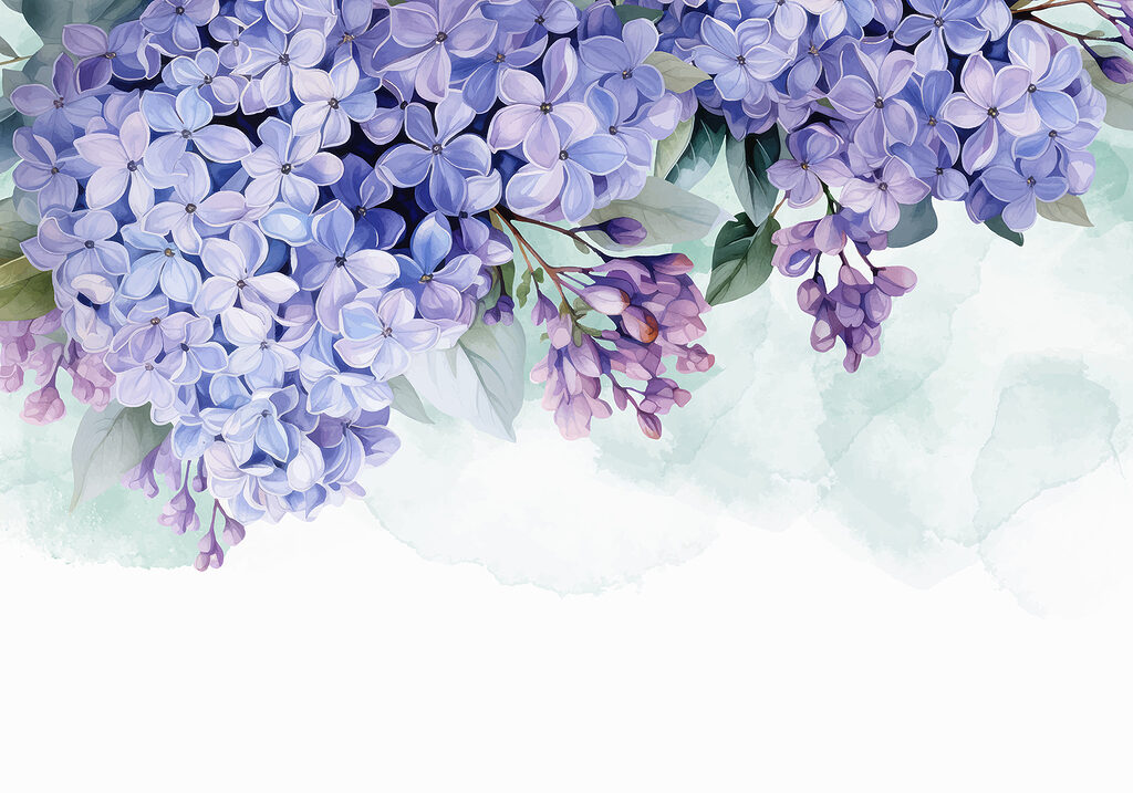 Grappoli viola in alto — design completo
