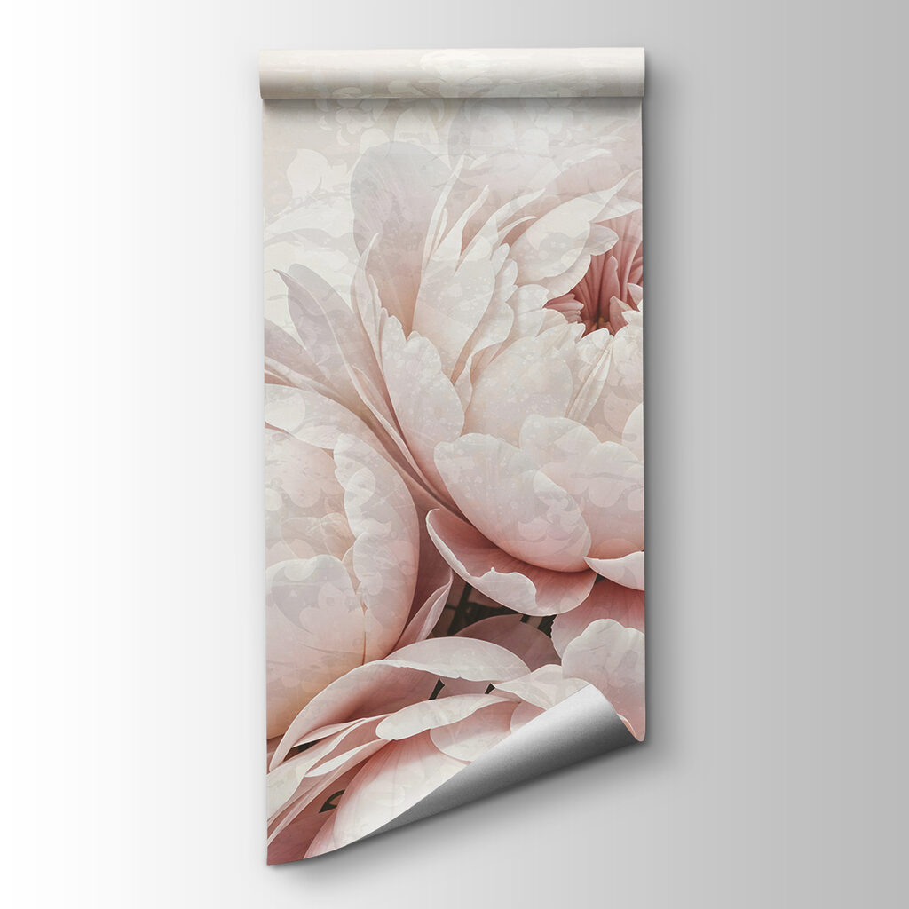 Peonie rosa pallido — vista del prodotto