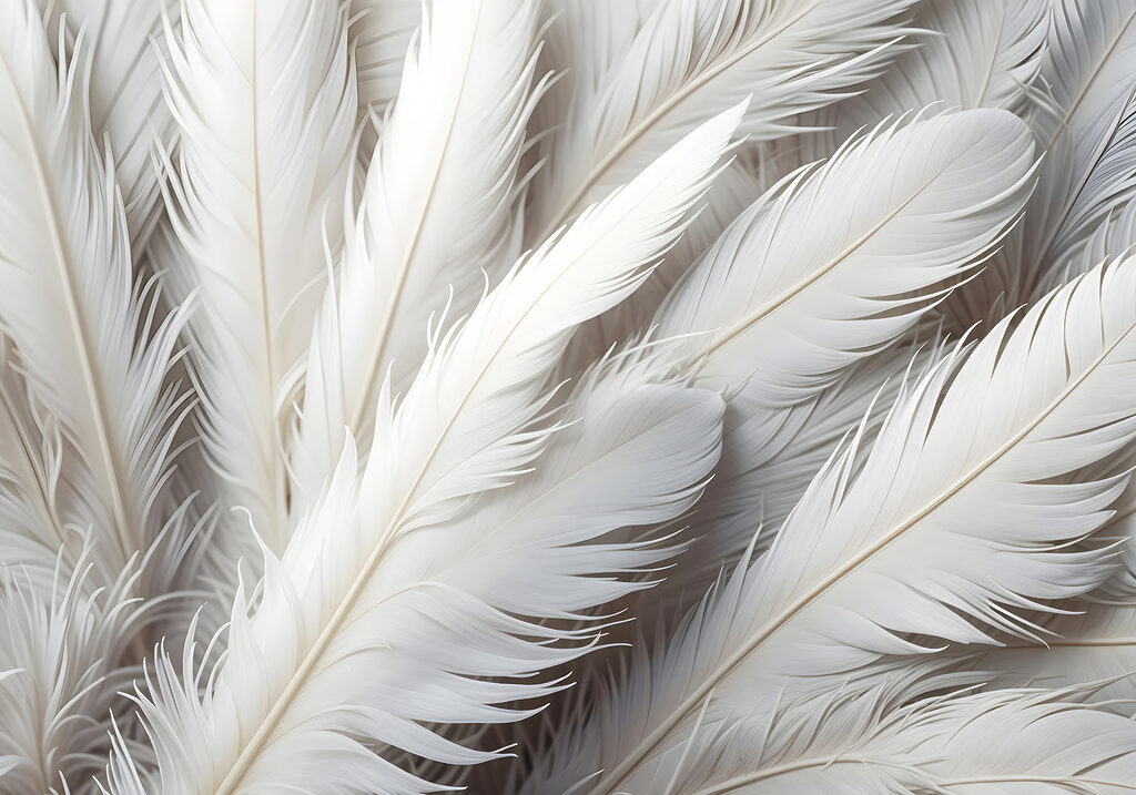 Piume bianche e grigie — design completo