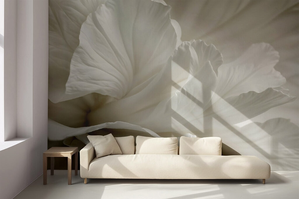 Fiore bianco da vicino — ambiente 5