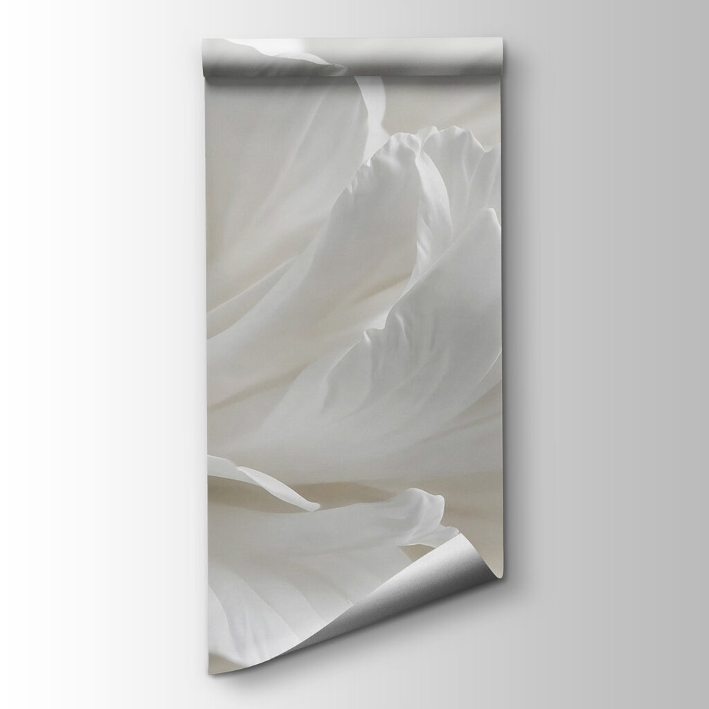 Fiore bianco da vicino — vista del prodotto