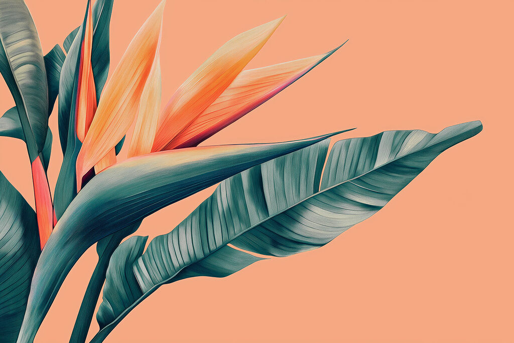Fiore del paradiso — design completo