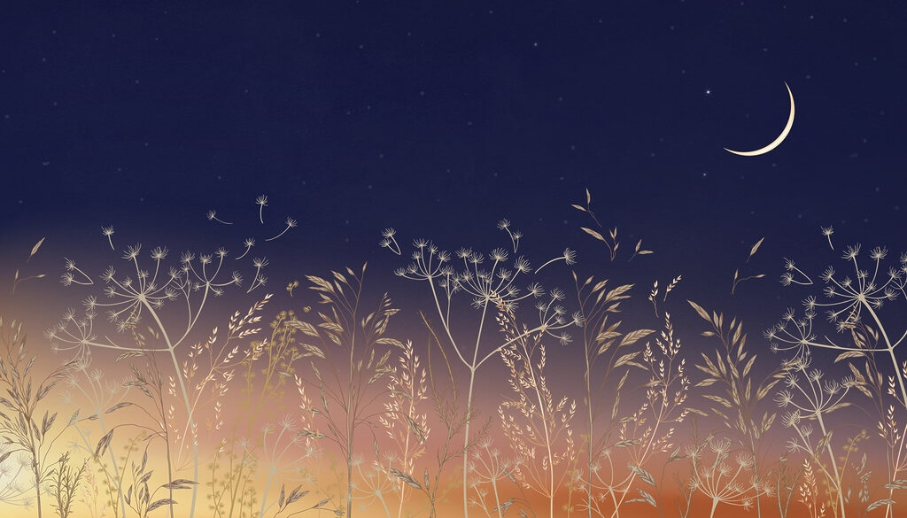 Erbe dorate di notte — design completo