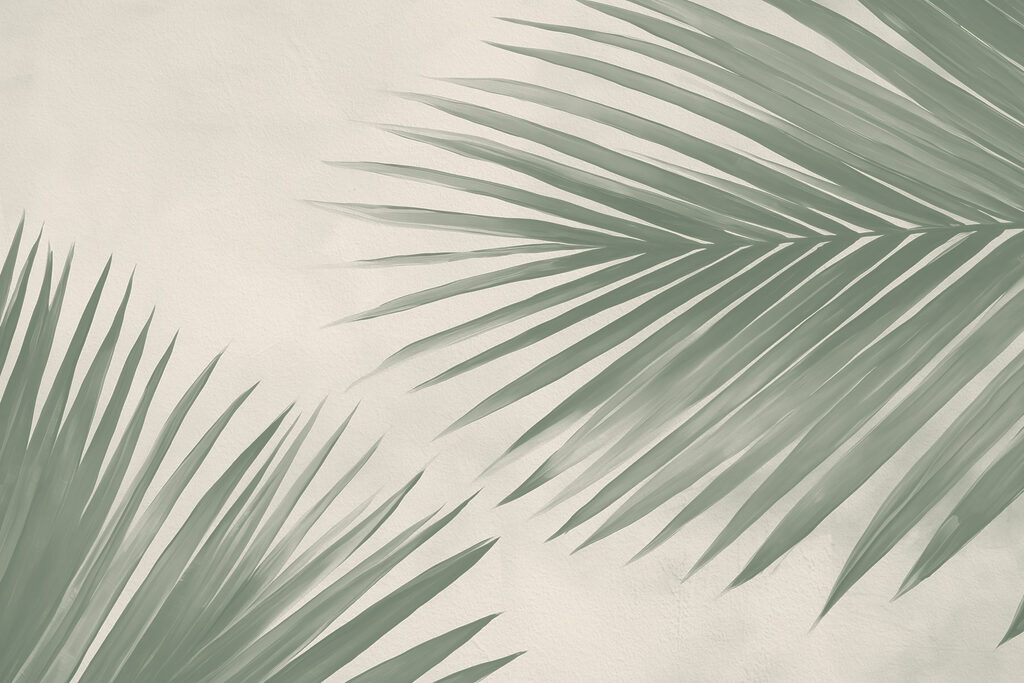 Palme da due angoli — design completo