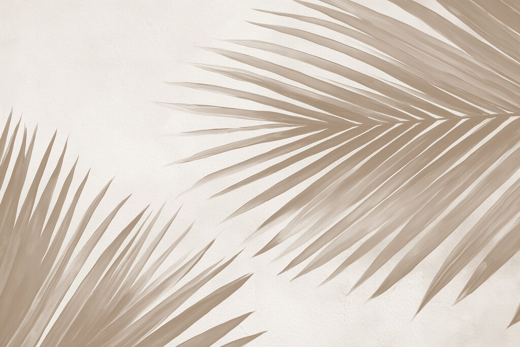 Palme da due angoli — design completo