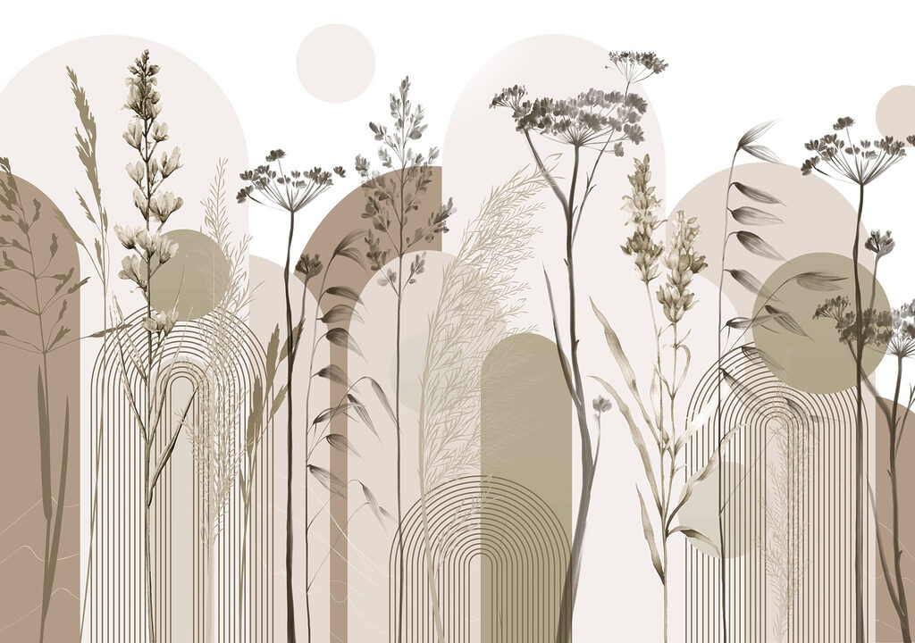 Erbe tra forme curve — design completo