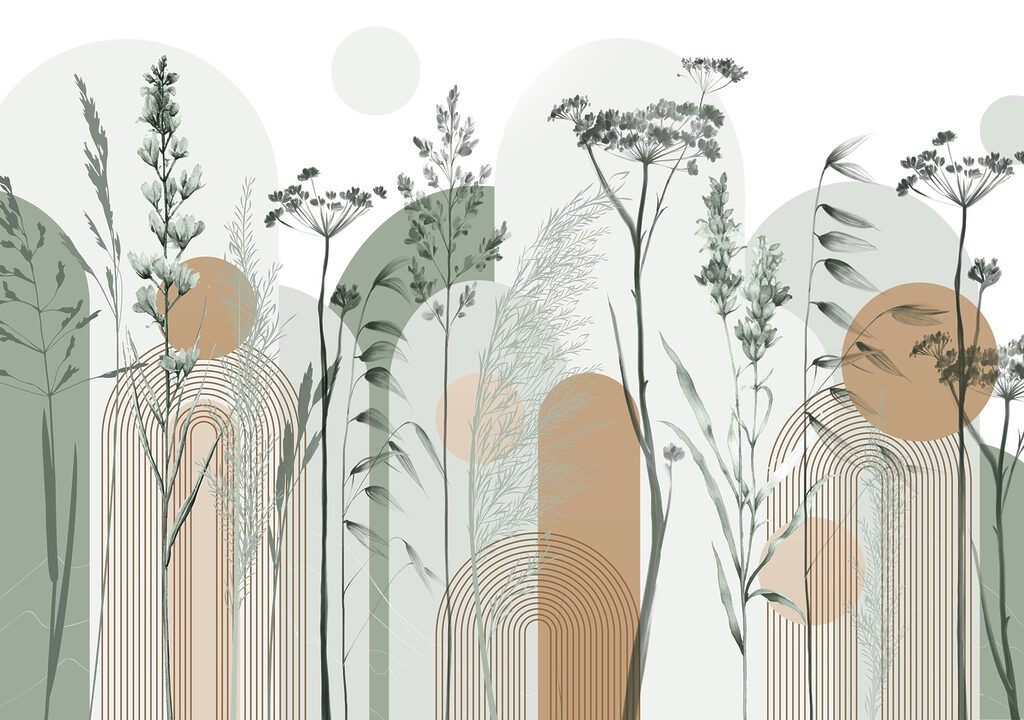 Erbe tra forme curve — design completo