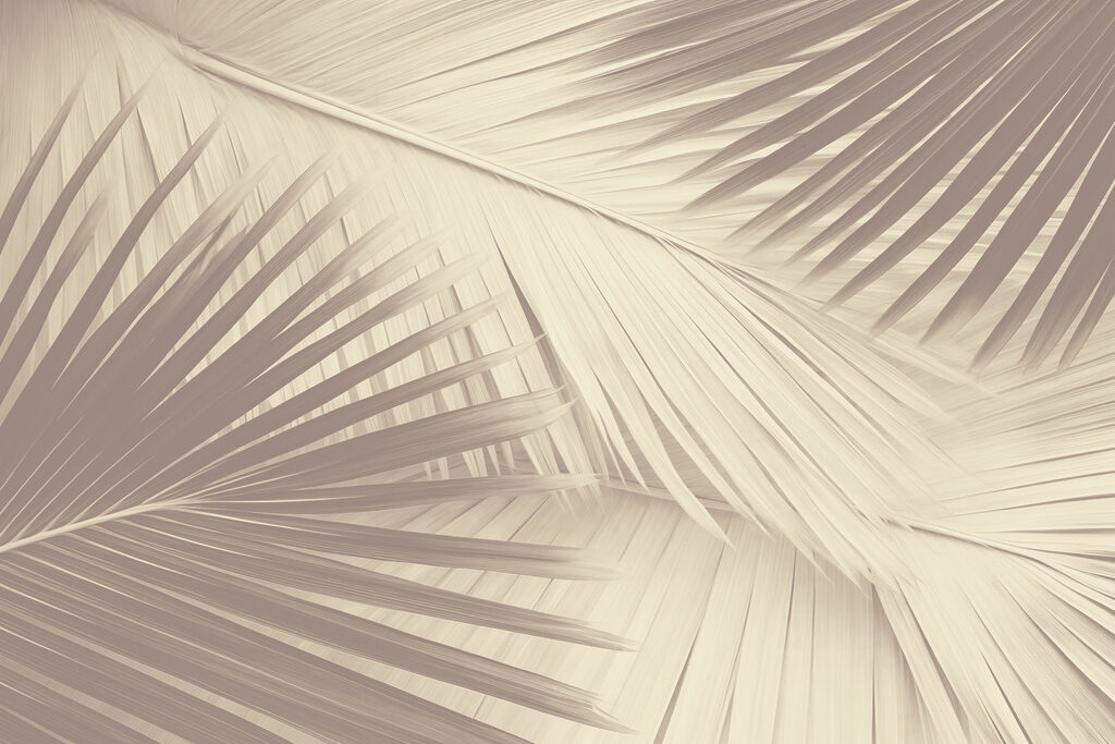 Palme in controluce — design completo