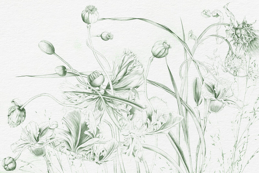 Fiori a tratto leggero — design completo